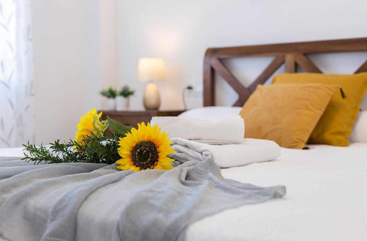 Luminoso 3 Rooms 2 Banos Parking Jerez de la Frontera Ngoại thất bức ảnh